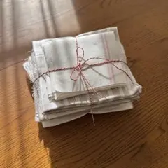 Item thumbnail for item 39494198-e58b-4799-a431-b111e368298b