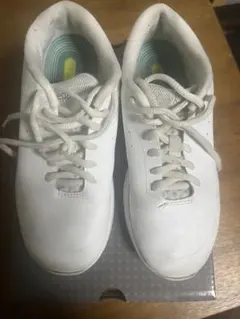 Item thumbnail for item b92fbfb9-c0b7-4b1a-a601-fb9eb0591cf2