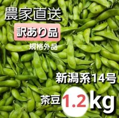 茶豆　1.2kg　機械選別　訳あり　B品　規格外　新潟産　新潟系14号のサムネイル