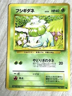旧裏 マークあり 이상해씨 LV.13 1996 포켓몬 カード ポケカ