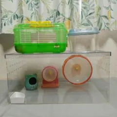 Item thumbnail for item 05e223fe-f615-4b4d-9f55-2cb9e060450b