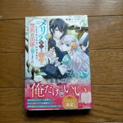 6月新刊/結婚初夜に逃亡したら、クールなはずの国王陛下が本性を露わ