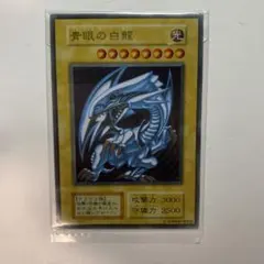 2026年最新】初期 ブルーアイズホワイトドラゴンの人気アイテム - メルカリ