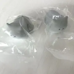 怒ったもふもふの猫ちゃあぁぁん