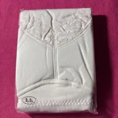 Item thumbnail for item 0926658c-138f-4cb0-b2fd-c3a911e6e887