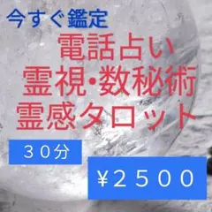 ２１時以降鑑定　電話占い　霊視•霊感タロット　数秘術