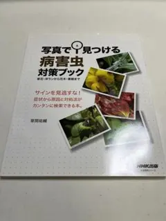 Item thumbnail for item dab6047b-e8f0-441a-baf5-1a07a2eca8af