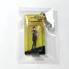 2026年最新】team雷電の人気アイテム - メルカリ