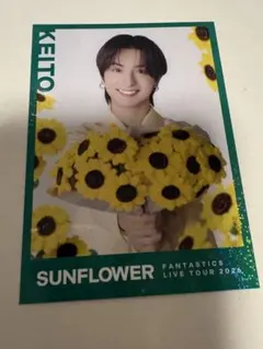 木村慧人　シクレ