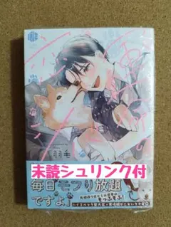 漫画　コミック　ばら売り ぱらのま 8 (楽園コミックス) | kashmir |本 | 通販 | Amazon