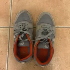 Nike sb アリウープ　スケシュー