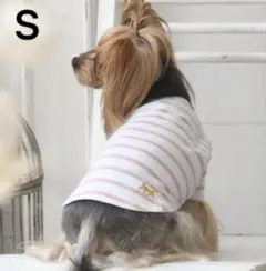 【新品未開封】ロペピクニック　犬服　レースアップボーダーTシャツ　S 犬服