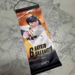 ジャイアンツ　坂本勇人 背番号6 記念グッズ　ミニタペストリー