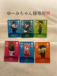 ゆーみちゃん様専用amiiboカード