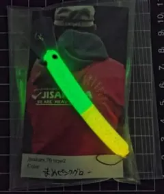 Item thumbnail for item c63f736b-bed9-4149-a6f8-48933fff8f57