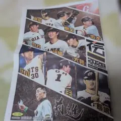 読売ジャイアンツ 阪神タイガース 2026 記念新聞のサムネイル