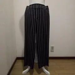 スラックスのサムネイル