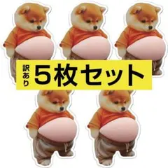 【訳あり】5枚 柴犬 ぷにぷに おなか シール 立体 ぷっくり シール帳 いぬ