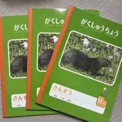 DAISO さんすう ノート 3冊セットのサムネイル