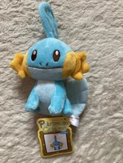 pokemon canvas ポケモンキャンバス ぬいぐるみ ミズゴロウ - メルカリ