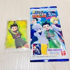 HUNTER×HUNTERイタジャガ第一弾21SPゴンハンターハンターカード