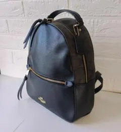 【美品】COACH コーチ リュック F76622 シグネチャー バックパックのサムネイル