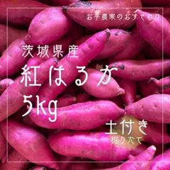 【土付き】さつまいも 紅はるか 5kg 2S以下 茨城県産 訳あり
