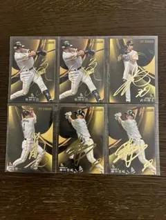 プロ野球チップス 2017 サイン