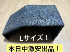 Item thumbnail for item 4020a519-ef70-4d19-a735-6552b509f967