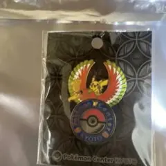 2025年最新】ポケモンセンターキョウト ピンズの人気アイテム - メルカリ