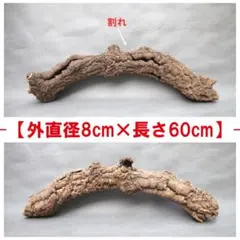B085 ポルトガル産キャノンコルク コルク樹皮コルク板 バージンコルク