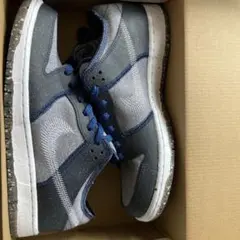 Nike SB Dunk Low PRO 