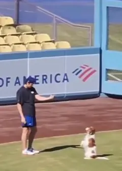 2025 ドジャーススタジアム　大谷翔平orデコピン❣️　トレーニング★269