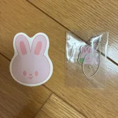 Stray Kidsファンミーティング リービット キーホルダー　紙吹雪セット