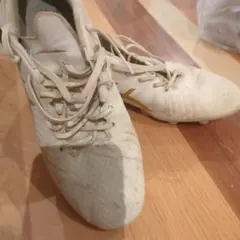 Item thumbnail for item 1b7c79fa-3aa4-4084-bda3-fdf0ac81f969