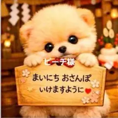 ピーチ様確認用