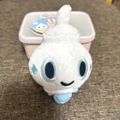 タグ付き ポケモンセンター タイプフォーカス バニプッチ