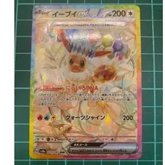 イーブイex SAR SV8a テラスタルフェスex 223/187