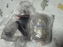 Item thumbnail for item b2626adf-8091-4f01-8bc6-16ecb292cc9e