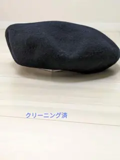 Item thumbnail for item 43e3490a-f9b1-44d0-841b-00e48f5c2958