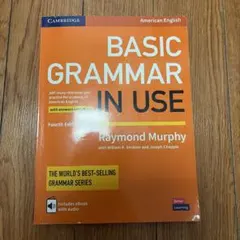 Basic Grammar in Use 第四版