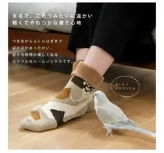 Item thumbnail for item 398add4f-c549-4fd0-8855-df41ca762a84