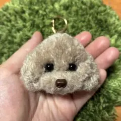 ＊うるうるトイプードル毛糸キーホルダー＊ぬいぐるみマスコットアプリコットクリーム