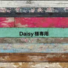 Daisy様専用
