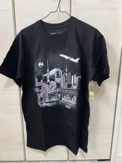 Item thumbnail for item 44d6a997-0215-413b-b21f-9e5b48c57d8a