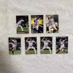 プロ野球チップス カルビー 福岡ソフトバンクホークス