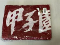 Item thumbnail for item 85403a81-c1d9-45a1-80a5-036b651e9cce