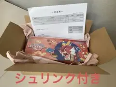 【即日発送可】ポケモンセンター ヒロシマ スペシャルBOX シュリンク付