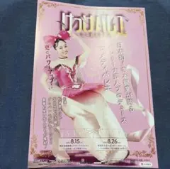 けっけバレエ vol.3 ガニ股の大覚醒 フライヤー 松浦景子