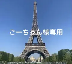 ごーちゃん様専用